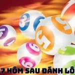 de-ve-87-hom-sau-danh-lo-con-gi-1