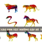 so-mo-lo-de-cac-con-vat-1