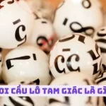soi-cau-lo-tam-giac-1