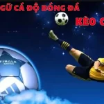 thuat-ngu-ca-do-bong-da-1